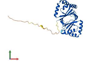 Protein Structure (PS) image for Nipsnap Homolog 3A (NIPSNAP3A) (AA 1-247) protein (His tag) (ABIN7549774)