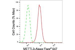 Flow cytometric analysis of METTL3 expression in HepG2 cells using METTL3 antibody (ABIN7799400), 1:2,000). (Recombinant METTL3 抗体)
