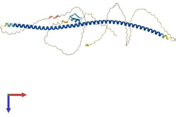 ZNF365 Protein (AA 1-407) (His tag)