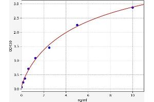 TSC22D3 ELISA 试剂盒