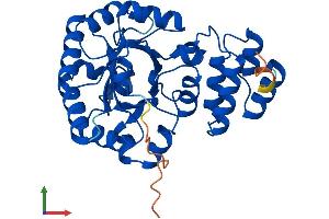 Protein Structure (PS) image for Dihydrouridine Synthase 4-Like (DUS4L) (AA 1-324) protein (His tag) (ABIN7557023)