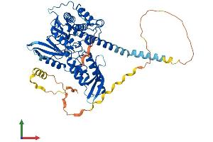 Protein Structure (PS) image for PX domain-containing protein kinase-like protein (PXK) (AA 1-582) protein (His tag) (ABIN7558988)