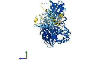 Protein Structure (PS) image for phospholipase C, delta 1 (PLCD1) (AA 1-756) protein (His tag) (ABIN7559728)