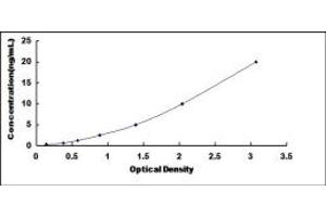 Typical standard curve (CENPE ELISA 试剂盒)