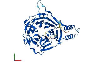 Protein Structure (PS) image for Kelch Domain Containing 3 (KLHDC3) (AA 1-382) protein (His tag) (ABIN7548900)