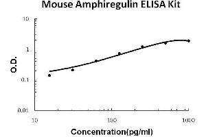 Mouse Amphiregulin/AR PicoKine ELISA Kit standard curve