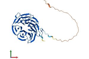 Protein Structure (PS) image for Serine/threonine Kinase Receptor Associated Protein (STRAP) (AA 1-350) protein (His tag) (ABIN7565286)