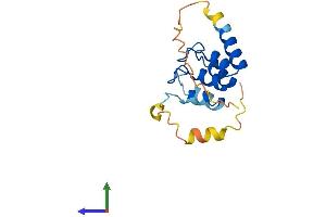 Protein Structure (PS) image for Ankyrin Repeat Domain 37 (ANKRD37) (AA 1-158) protein (His tag) (ABIN7552286)