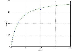 A typical standard curve (SIRT2 ELISA 试剂盒)
