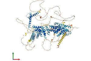 Protein Structure (PS) image for Sterol Regulatory Element Binding Transcription Factor 1 (SREBF1) (AA 1-1134) protein (His tag) (ABIN7565204)