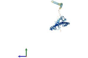 Protein Structure (PS) image for Tripartite Motif Containing 59 (TRIM59) (AA 1-403) protein (His tag) (ABIN7544803)