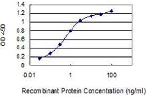 Detection limit for recombinant GST tagged KIAA1143 is 0. (KIAA1143 抗体  (AA 1-154))
