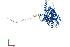 AlphaFold protein structure predicition of Human Recombinant SLC14A1 Protein, UniprotID Q13336