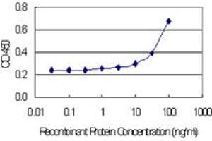 Detection limit for recombinant GST tagged CST2 is 3 ng/ml as a capture antibody. (CST2 抗体  (AA 1-141))
