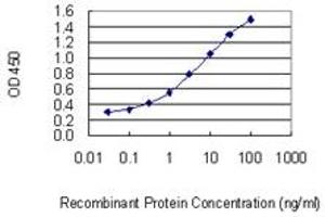 Detection limit for recombinant GST tagged C13orf15 is 0. (RGC32 抗体  (AA 1-117))