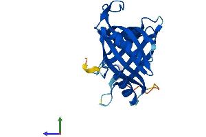 Protein Structure (PS) image for Mediator Complex Subunit 18 (MED18) (AA 1-208) protein (His tag) (ABIN7549348)