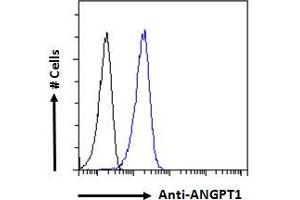 ABIN768552 Flow cytometric analysis of paraformaldehyde fixed A431 cells (blue line), permeabilized with 0. (Angiopoietin 1 抗体  (Internal Region))