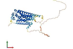 Protein Structure (PS) image for Sphingosine-1-Phosphate Receptor 5 (S1PR5) (AA 1-400) protein (His tag) (ABIN7564808)