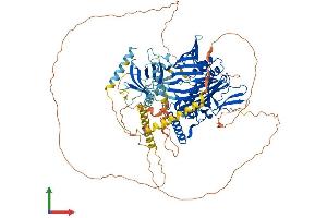 Protein Structure (PS) image for Oxysterol Binding Protein-Like 8 (OSBPL8) (AA 1-889) protein (His tag) (ABIN7562073)