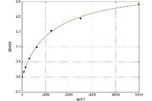 Cyclin-Dependent Kinase 16 (CDK16) ELISA Kit