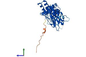 Protein Structure (PS) image for Ankyrin Repeat and SOCS Box Containing 9 (ASB9) (AA 1-294) protein (His tag) (ABIN7552414)