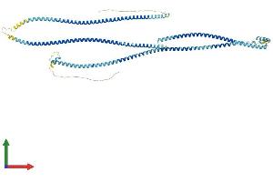 Protein Structure (PS) image for Coiled-Coil Domain Containing 170 (CCDC170) (AA 1-715) protein (His tag) (ABIN7553198)