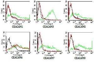 Flow Cytometry (FACS) image for anti-Carcinoembryonic Antigen-Related Cell Adhesion Molecule 6 (CEACAM6) antibody (ABIN108733)