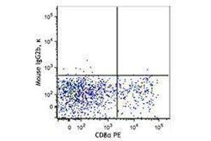 Flow Cytometry (FACS) image for anti-Chemokine (C Motif) Receptor 1 (XCR1) antibody (Biotin) (ABIN2660786) (XCR1 抗体  (Biotin))