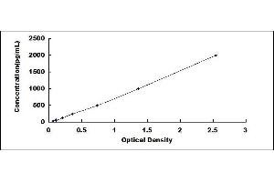 Typical standard curve (IL-10RA ELISA 试剂盒)