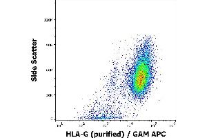 Flow cytometry intracellular staining pattern of HLA-G transfected HEK-293 cells using anti-human HLA-G (2A12) purified antibody (concentration in sample 4 μg/mL) GAM APC. (HLAG 抗体  (C-Term))