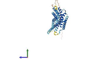 Protein Structure (PS) image for G Protein-Coupled Receptor 34 (GPR34) (AA 1-375) protein (His tag) (ABIN7556216)