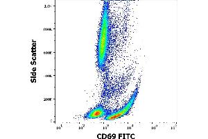 Flow cytometry surface staining pattern of human peripheral whole blood stained using anti-human CD69 (FN50) FITC antibody (20 μL reagent / 100 μL of peripheral whole blood).