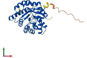 Protein Structure (PS) image for TatD DNase Domain Containing 3 (TATDN3) (AA 1-294) protein (His tag) (ABIN7557122)