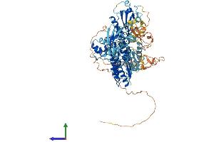 Protein Structure (PS) image for NLR Family, Pyrin Domain Containing 1B (NLRP1B) (AA 1-906) protein (His tag) (ABIN7563650)