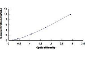 Typical standard curve (SPTLC2 ELISA 试剂盒)