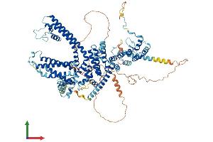 AlphaFold protein structure predicition of Mouse Recombinant Trpc4 Protein, UniprotID Q9QUQ5 (TRPC4 Protein (AA 1-974) (His tag))