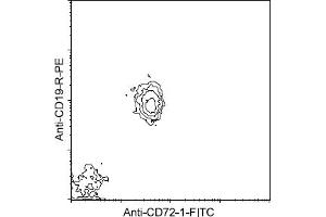 Flow Cytometry (FACS) image for anti-CD72 Molecule (CD72) antibody (FITC) (ABIN371000)
