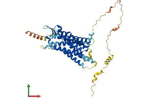 AlphaFold protein structure predicition of Human Recombinant GPR151 Protein, UniprotID Q8TDV0