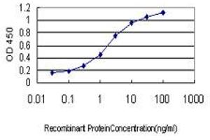 Detection limit for recombinant GST tagged UBE2E2 is approximately 0. (UBE2E2 抗体  (AA 1-201))
