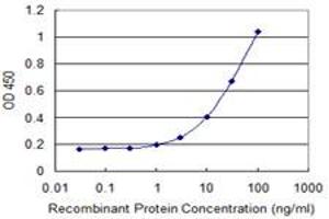 Detection limit for recombinant GST tagged AXL is 0. (AXL 抗体  (AA 787-885))