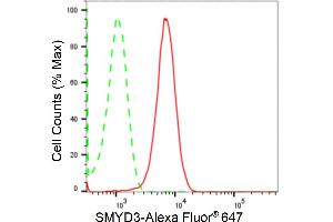 Flow cytometric analysis of SMYD3 expression in HepG2 cells using SMYD3 antibody (ABIN7800322), 1:2,000). (Recombinant SMYD3 抗体)