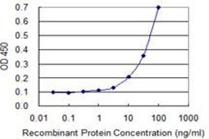 Detection limit for recombinant GST tagged BHLHE41 is 1 ng/ml as a capture antibody. (BHLHE41 抗体  (AA 203-282))