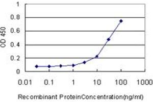 Detection limit for recombinant GST tagged FUT10 is approximately 1ng/ml as a capture antibody. (FUT10 抗体  (AA 1-92))