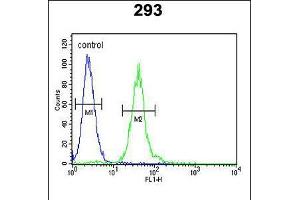 Flow cytometric analysis of 293 cells (right histogram) compared to a negative control cell (left histogram). (M-CSF/CSF1 抗体  (AA 230-257))