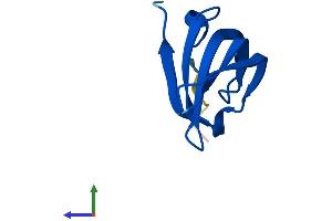 AlphaFold protein structure predicition of Human Recombinant SNRPGP15 Protein, UniprotID A8MWD9