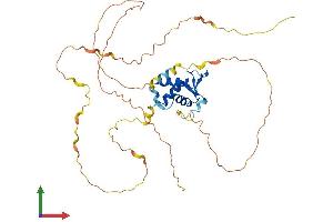 Protein Structure (PS) image for Forkhead Box I1 (FOXI1) (AA 1-378) protein (His tag) (ABIN7547829)