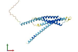Protein Structure (PS) image for ORAI Calcium Release-Activated Calcium Modulator 2 (ORAI2) (AA 1-254) protein (His tag) (ABIN7550195)