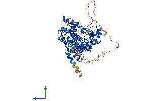 Protein Structure (PS) image for phosphodiesterase 7B (PDE7B) (AA 1-446) protein (His tag) (ABIN7561757)