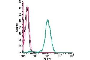 Cell surface detection of Apelin/APJ Receptor in live intact human  monocytic leukemia cells: + goat-anti-rabbit-FITC.