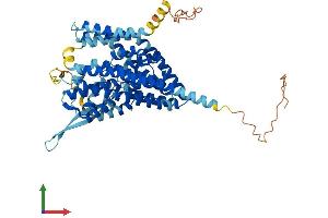 Protein Structure (PS) image for Solute Carrier Family 1 (Glutamate/Neutral Amino Acid Transporter), Member 4 (SLC1A4) (AA 1-532) protein (His tag) (ABIN7545891)